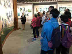大沥华夏社区党员等参观南海区博物馆
