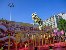 【云赏非遗】寻源·传韵·潮生 狮舞禅城潮兴扬——2026年广东醒狮公益展演禅城区专场活动